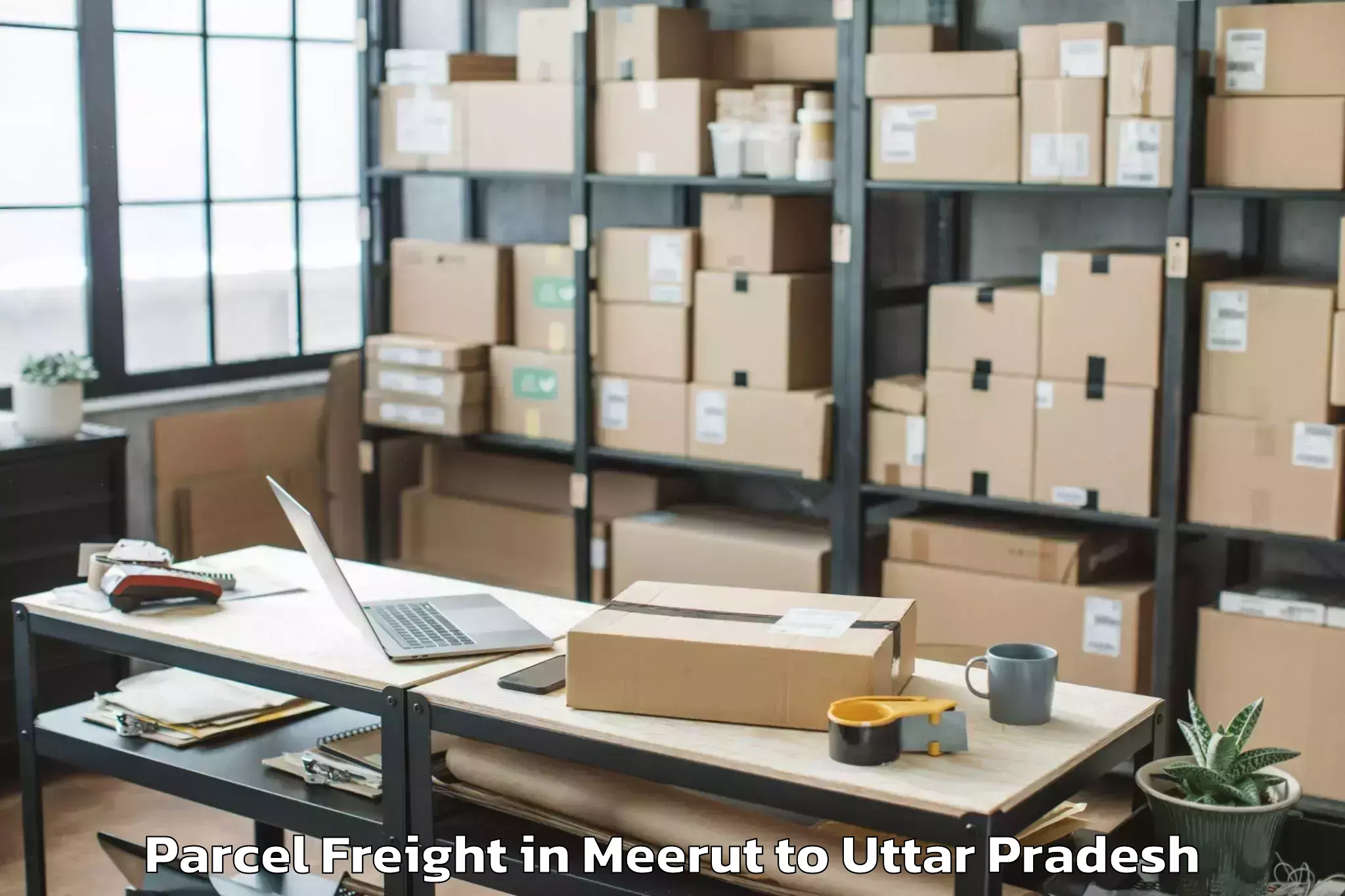 Professional Meerut to Purwa Parcel Freight